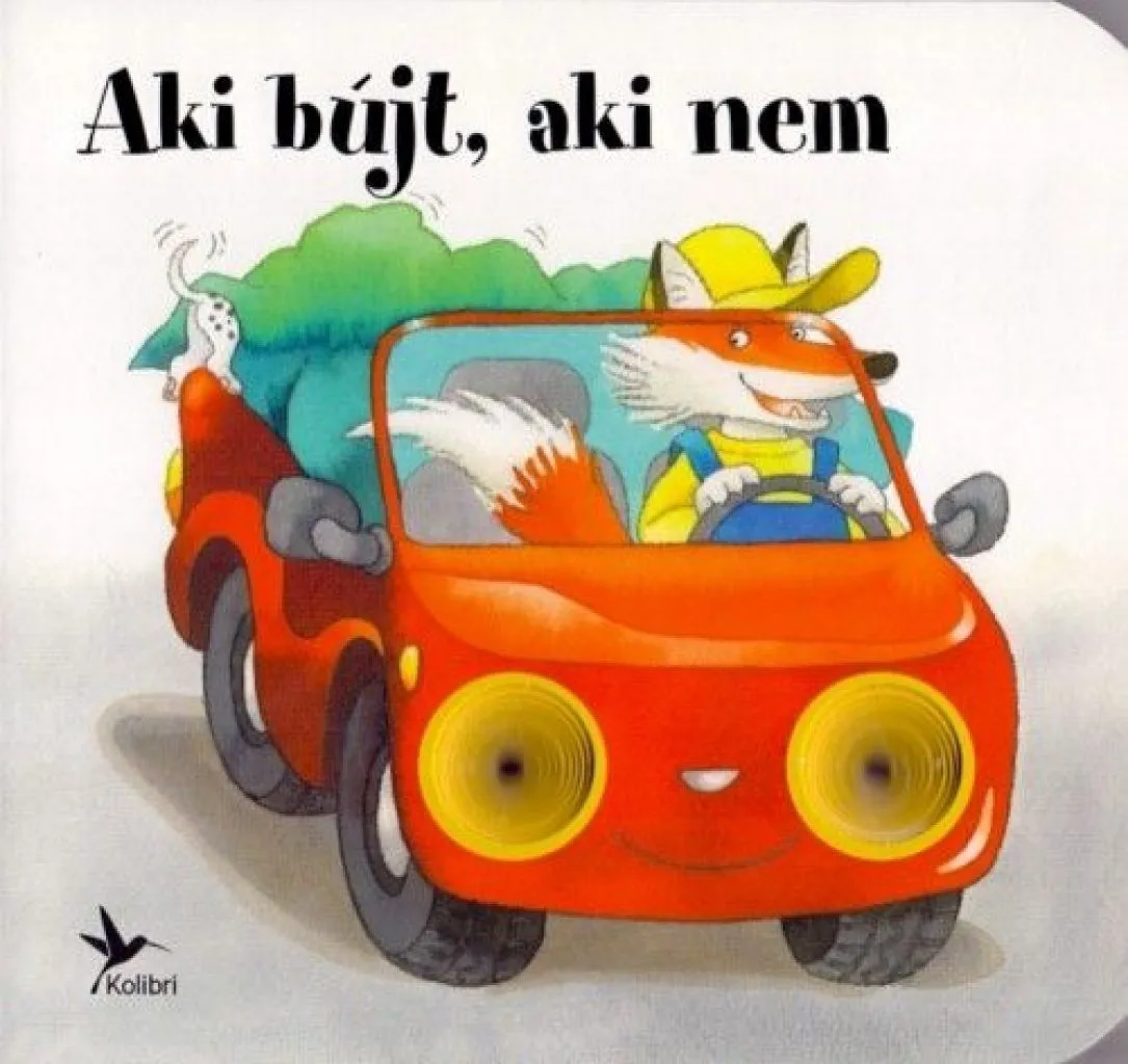 aki_bujt_aki_nem_cover.jpg