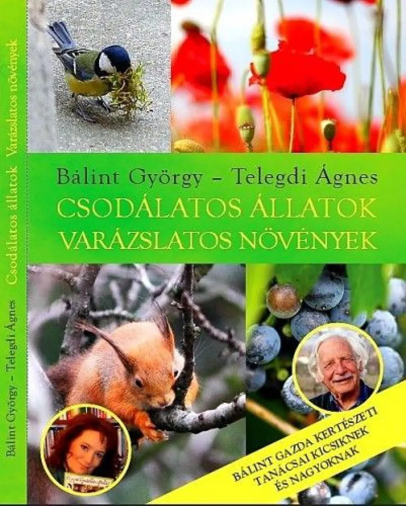 csodalatos_allatok_-_varazslatos_novenyek_cover.jpg