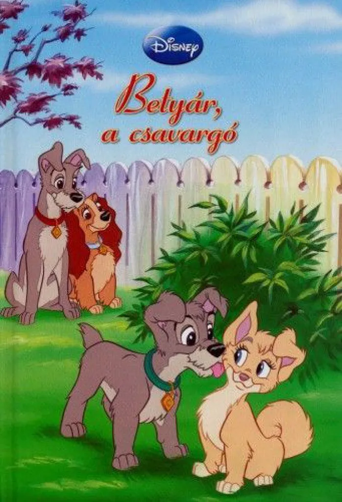 betyar_a_csavargo__cover.jpg
