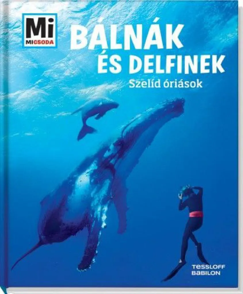 balnak_es_delfinek_mimicsoda_cover.jpg