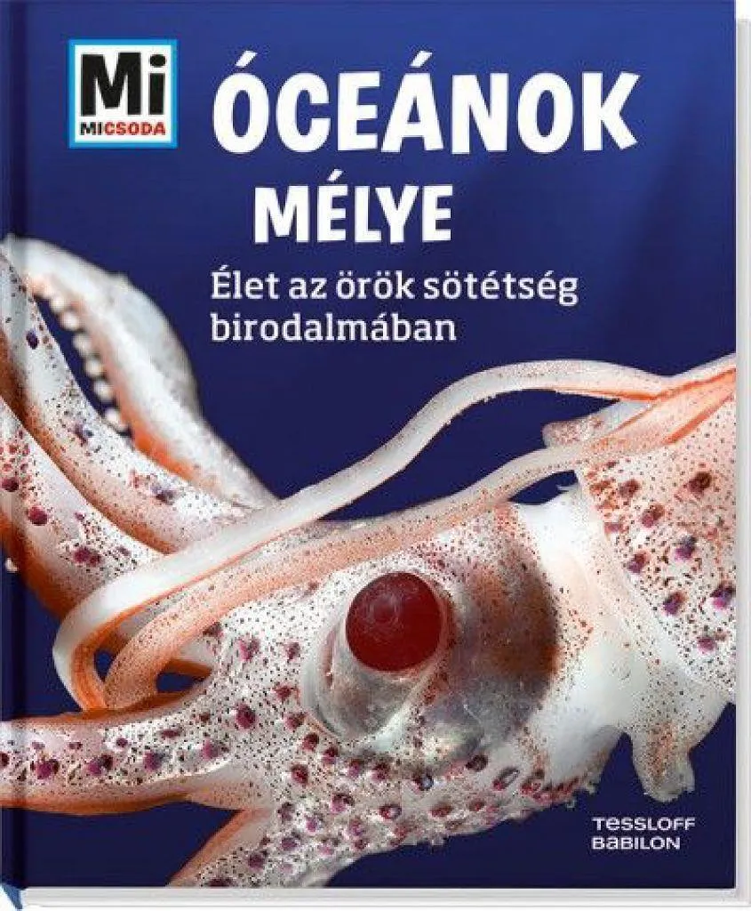 oceanok-melye_cover.jpg