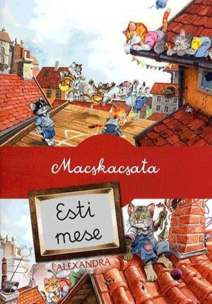 macskacsata_cover.jpg