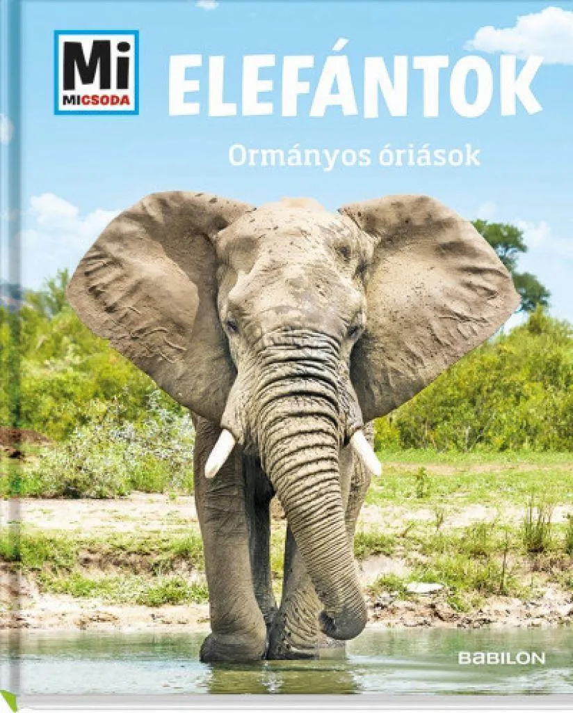 elefantok_cover.jpg