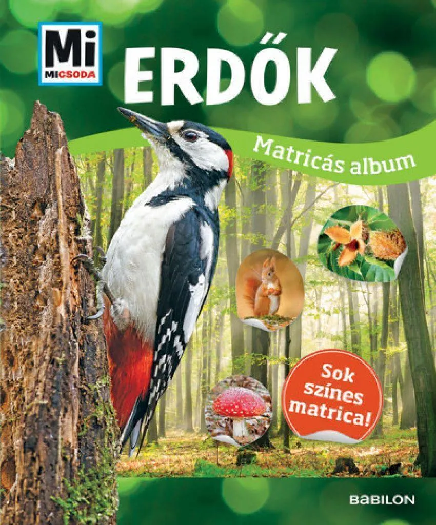erd__k_matricas_cover.jpg