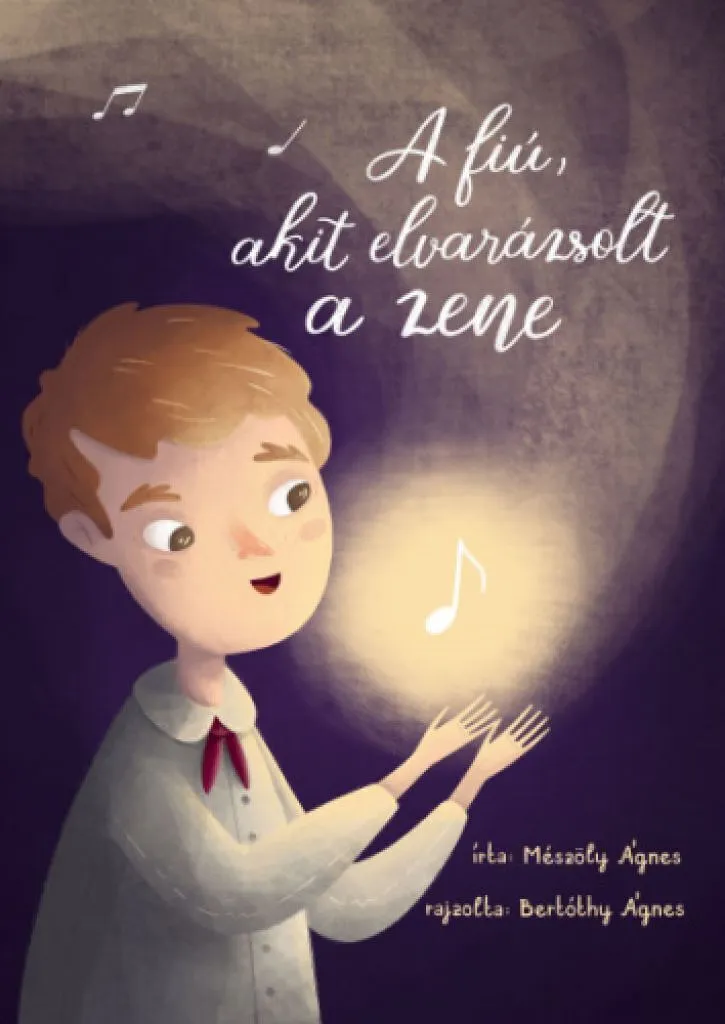 a_fiu__akit_elvarazsolt_a_zene_cover.jpg