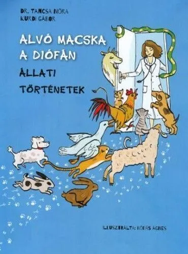 alv-c3-93-20macska-20a-20di-c3-93f-c3-81n-20-20-c3-81llati-20t-c3-96rt-c3-89netek.jpg