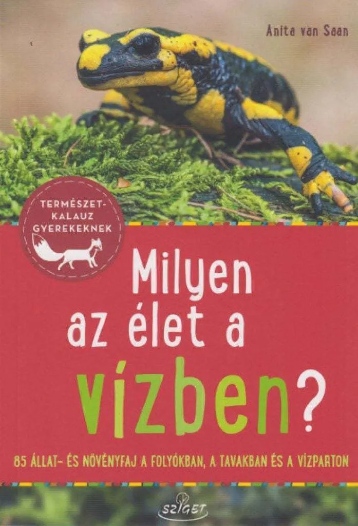milyenazeletavizben_cover.jpg