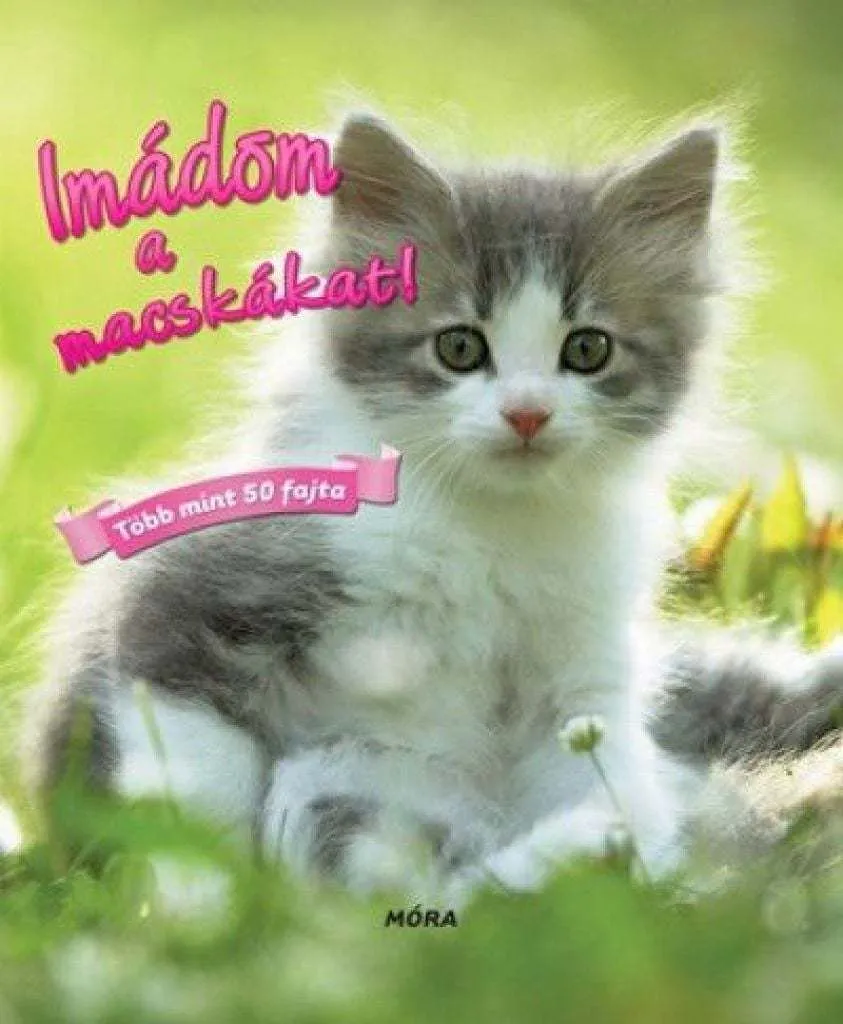 imadomamacskamat_cover.jpg