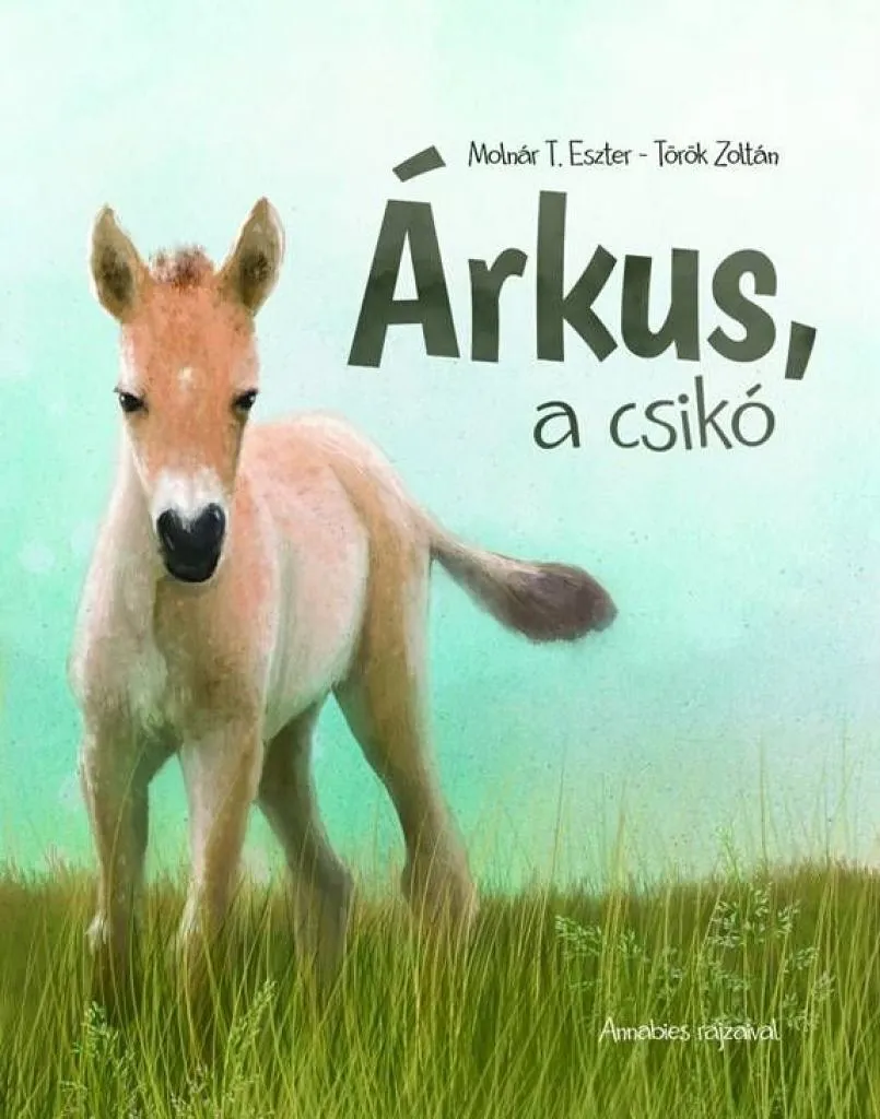 ovejxrifn4jtq3wwibkbjddclzkhtwesfimvfhem_cover.jpeg