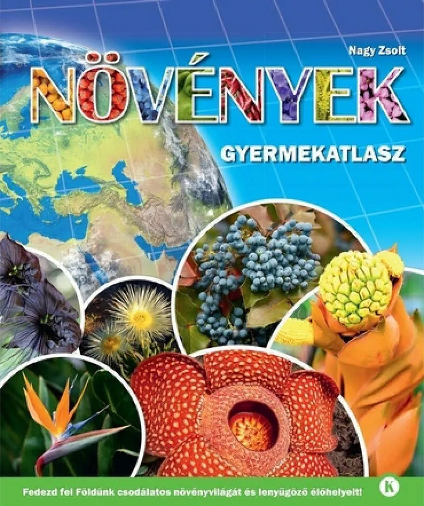 l69xfbspubedtuwr5gbkiym9h69tuncxtqojivba_cover.jpeg