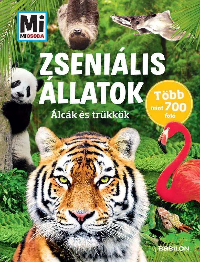 hgft1jw9tq5mesi8mgfqskmgoxfsbybbpgge35un_cover.jpeg