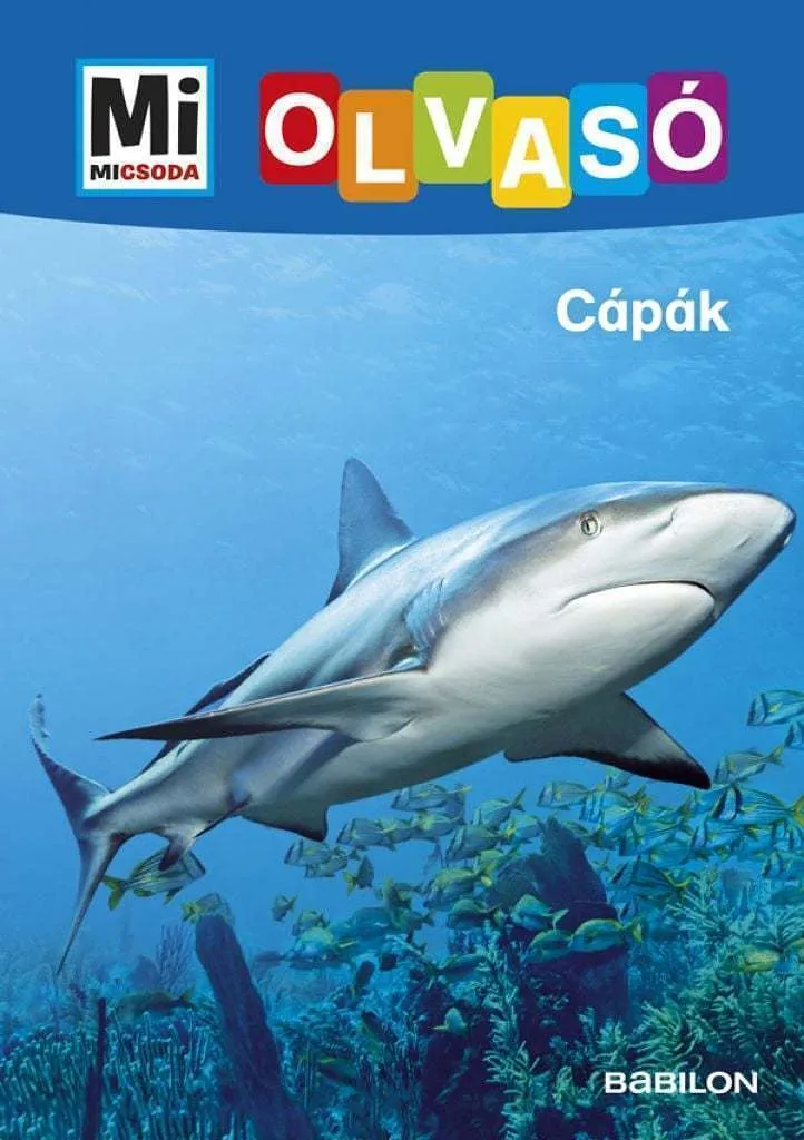 qlaftzsdr6p5udw8sirygt0njfyqdcch1dczb8np_cover.jpeg