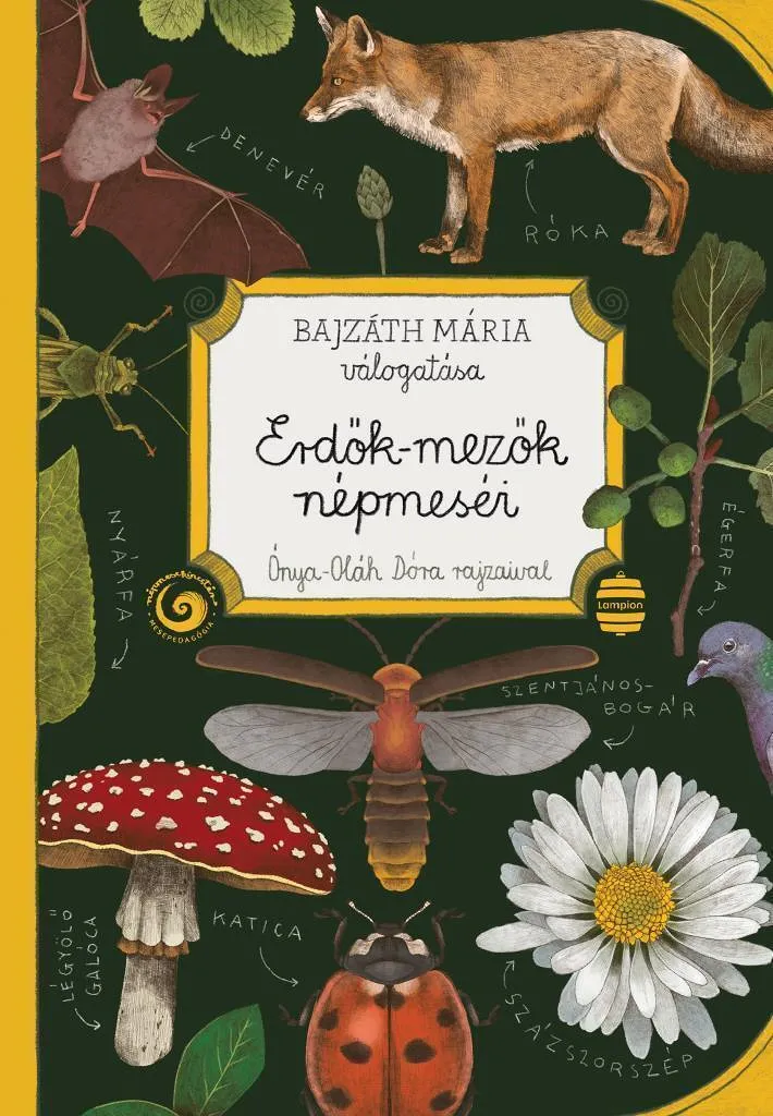 erdok_mezok_b1_web.jpg