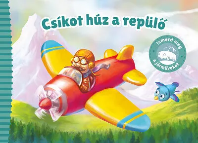 csikot_huz_a_repulo.jpg