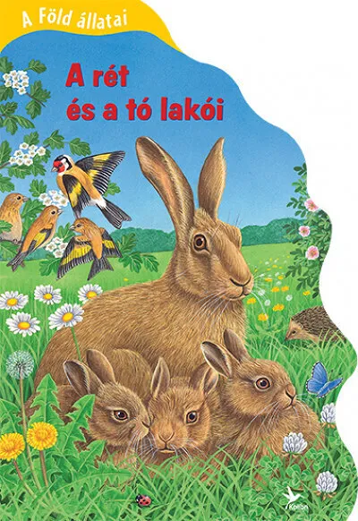 9789635993116.jpg