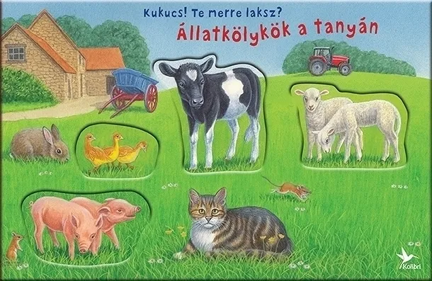 9789635993086.jpg