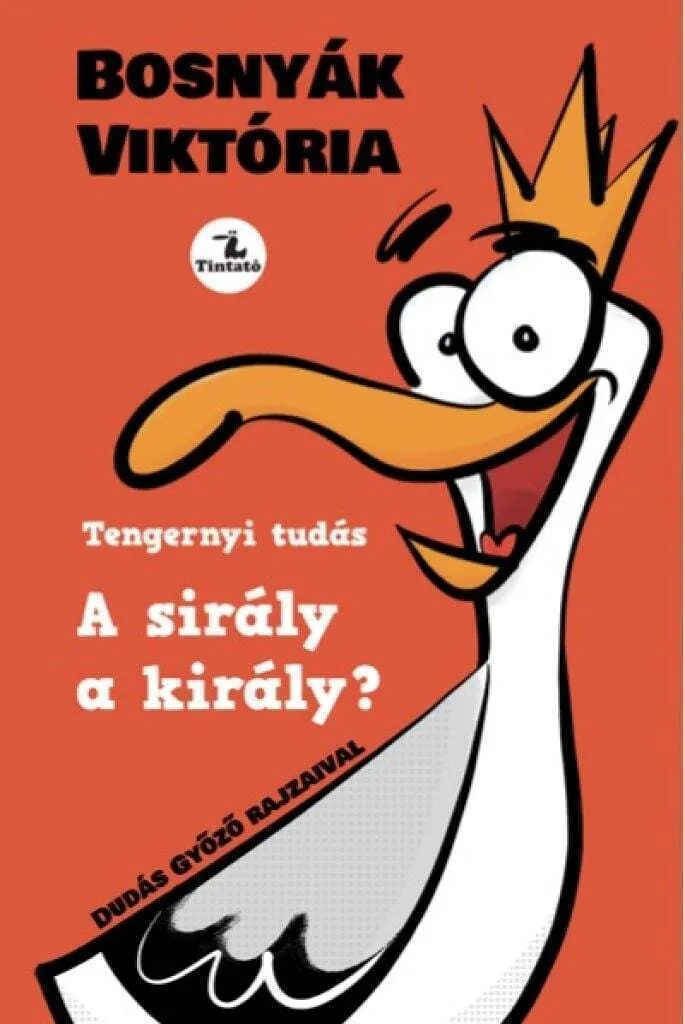 siraly_a_kiraly_cover.jpg