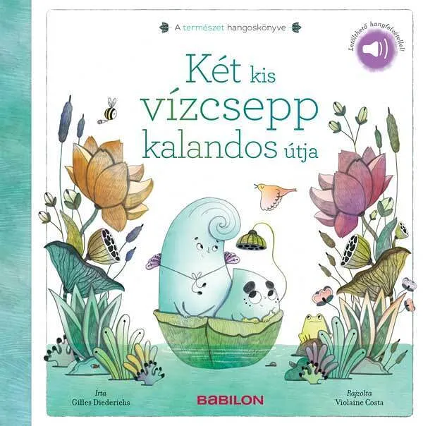 a_termeszet_hangoskonyve_ket_kis_vizcsepp_kalandos_utja.jpg