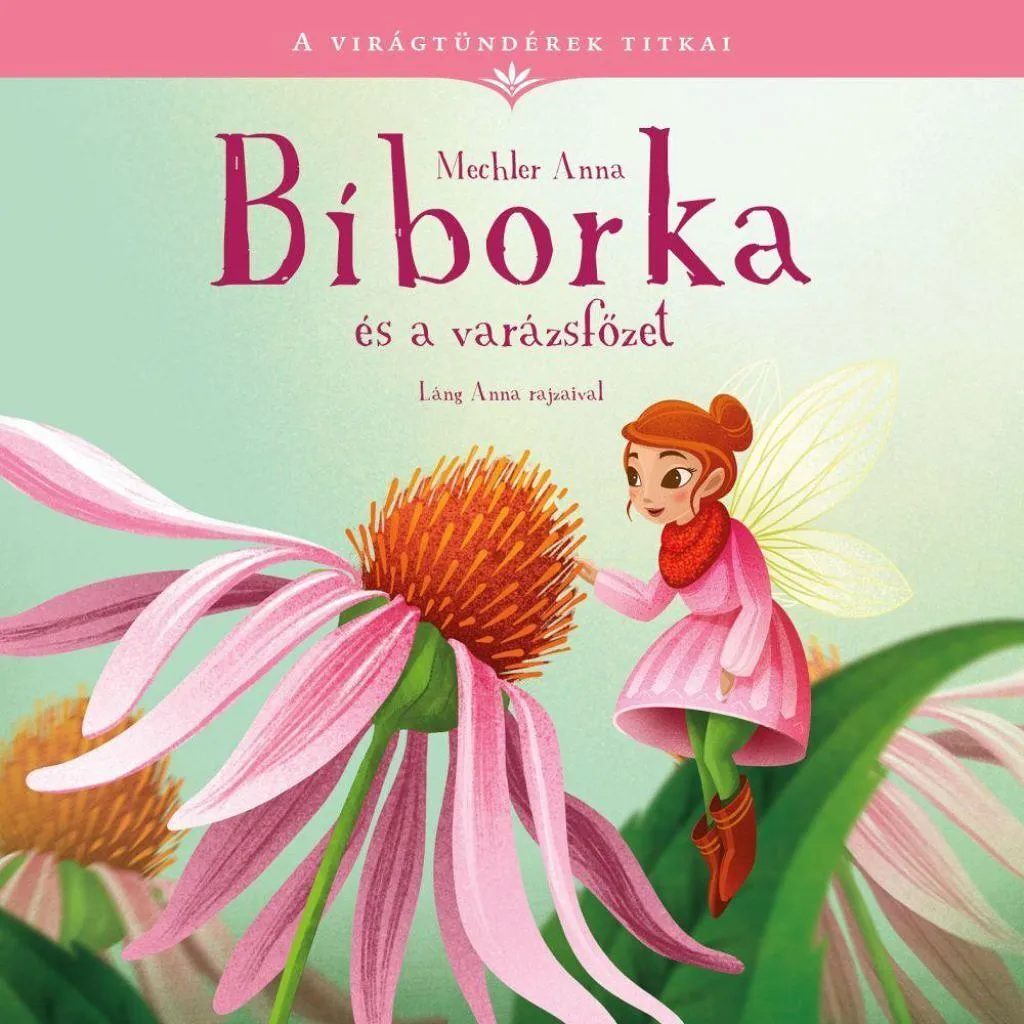 biborka_es_a_varazsf__zet_cover.jpg