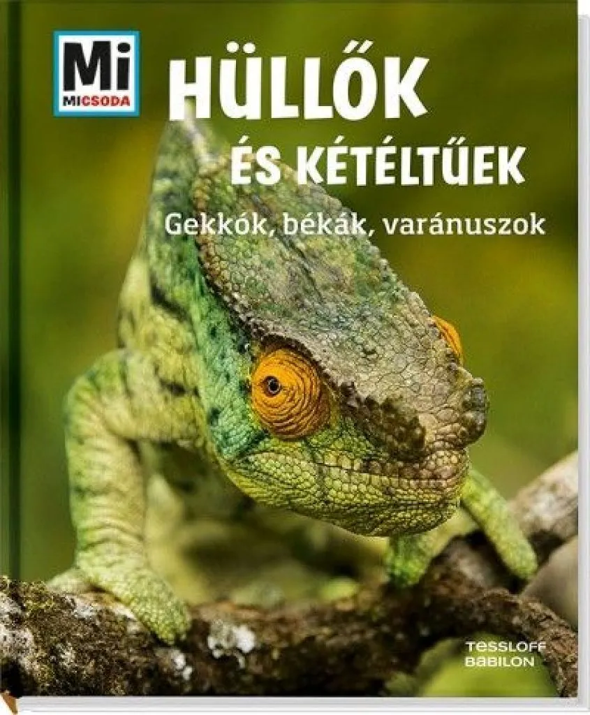hullok-keteltuek_cover.jpg