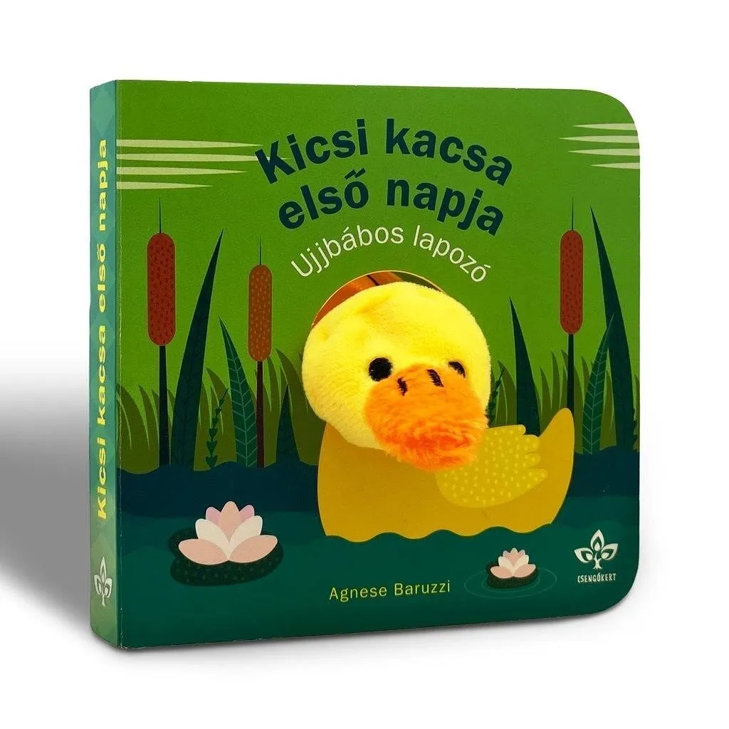 kicsi_kacsa_elso_napja.jpg