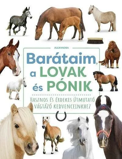 barataim_a_lovak_es_ponik_260715.jpg