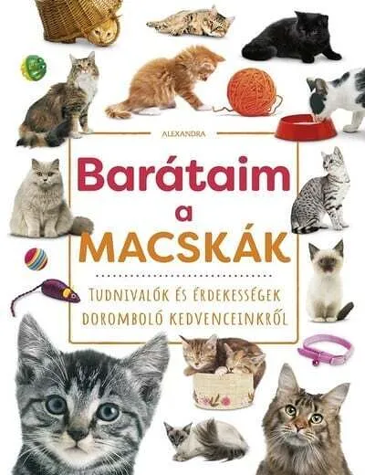 barataim_a_macskak_260716.jpg