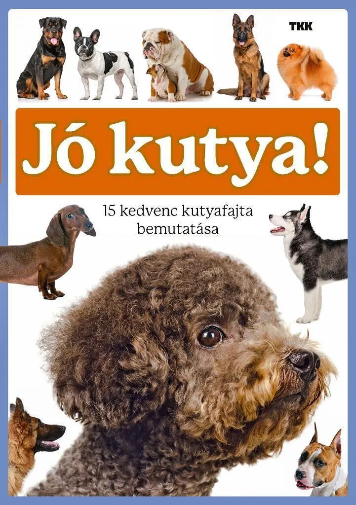 jokutya.jpg