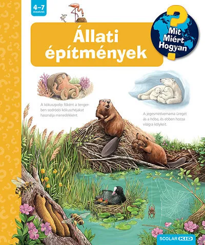 13383242_5.jpg